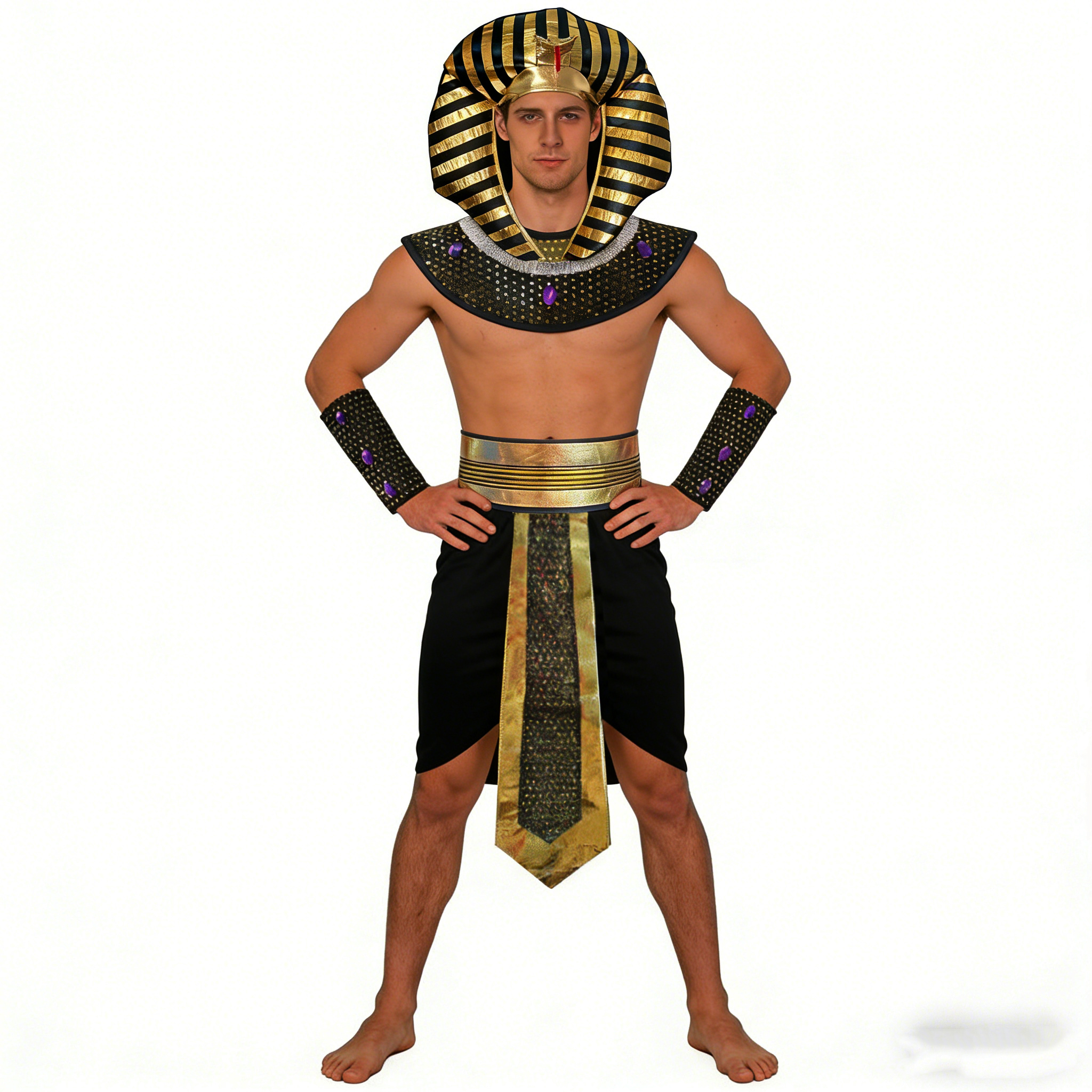 Carnival Men Costume Egyptian  – Men Accessories Egypt recenzja i cena