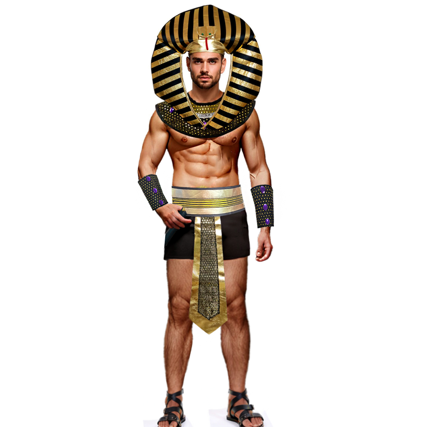 Carnival Men Costume Egyptian  – Men Accessories Egypt recenzja i cena